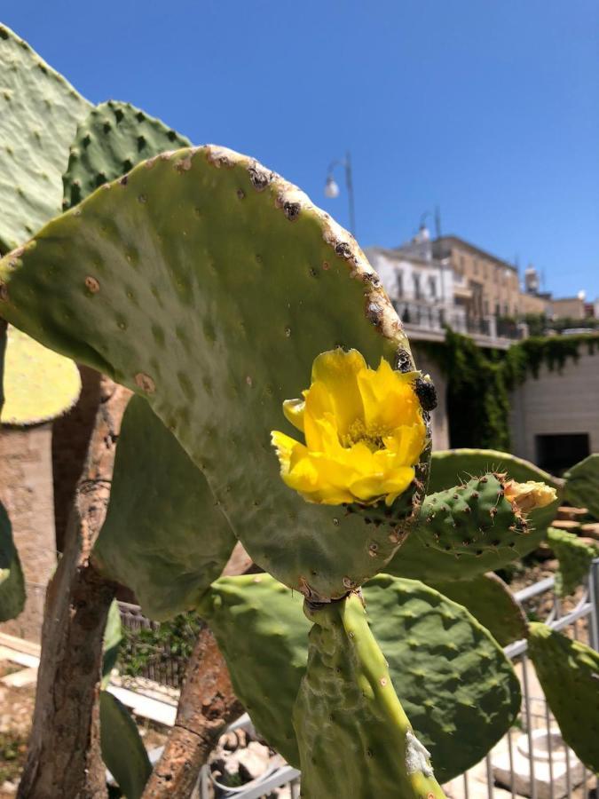 Lamanna House Polignano a Mare Exterior foto